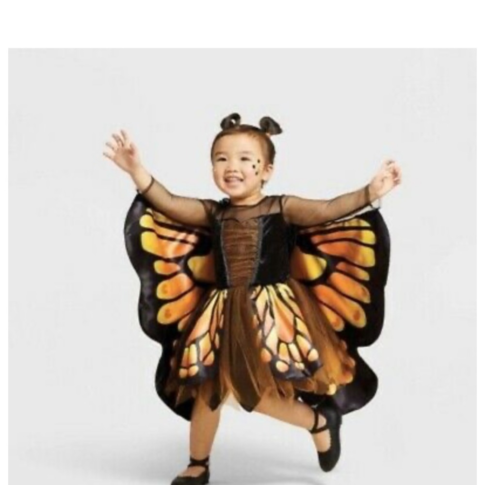 Toddler Butterfly Costume (Target) - 3 piece set